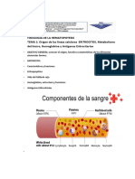 Resumen Fisiologia de La Hematopoyesis