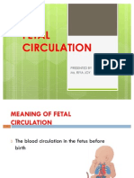 Fetal Circulation