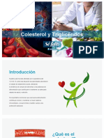 Colesterol y Trigliceridos - Seelie Salud 2021