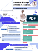 S1.2 Traumatología