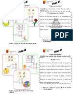 Fichas - Grupos Consonánticos Con L