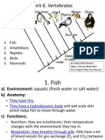 Unit 6. Vertebrates: 1. Fish 2. Amphibians 3. Reptiles 4. Birds 5. Mammals