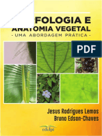 Livro Morfologia Final Final