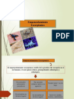 Empozoñamiento Escorpionico