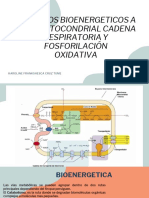 Procesos Bioenergeticos A Nivel Mitocondrial - Semana 8 - Karoline