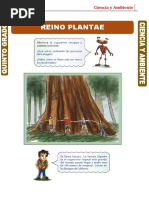 CN Guia 12 Reino-Plantas