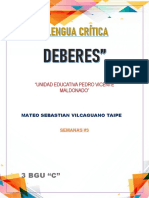 Lectura Critica Semana 3 Mateo Vilcaguano