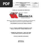 Informe Ats Trabajo en Calderas Ladrillera San Sebastian