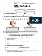 Práctica Calificada 1 Sistema Respiratorio