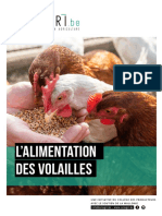 Alimentation Des Volailles