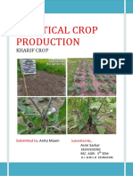 Practical Crop Production - Kharif Crop