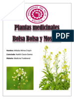 Plantas Medicinales-1