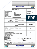 177-100-04-P0. Informe de Dique (Jake Ryan)