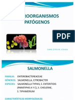 Microorganismos Patógenos