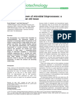 Scale Up Scale Down of Microbial Bioprocesses