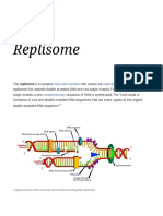 Replisome - Wikipedia