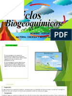 Ciclos Biogeoquimicos