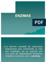 Tema 3 ENZIMAS