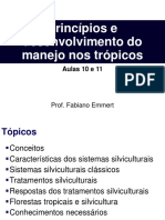 Aula 10 - 11 - Desenvolvimento Do Manejo em Florestas Tropicais e Sistemas Silviculturais Aplicados