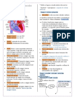 Sistema Cardiovascular