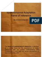 Spatiotemporal Adaptation Frame of Reference