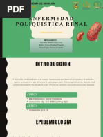 Enfermedad Poliquistica Renal