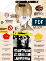 Infografia (Experimentacion Animal y Etica)