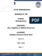 Histoquímica - Semana 09 - Vallejos Guevara César Raúl