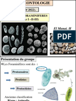 FORAMINIFERES El Manai