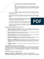 Guia Derecho Constitucional y Procesal Constitucional