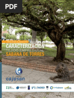 Resumen Ejecutivo Sabana de Torres