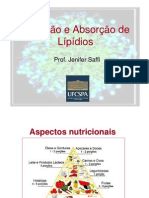 Digestao e Absorcao de Lipidios