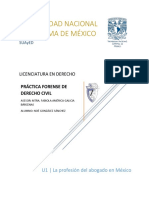 La Profesión Del Abogado - Juzgados y Tribunales