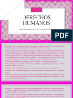 PROYECTO FINAL Derechos Humanos