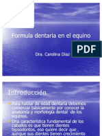 07 - Formula Dentaria en El Equino