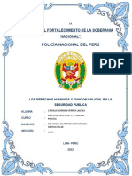 Monografia de Los Derechos Humanos y Funcion Policial en La Seguridad Publica