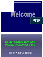 Breeder Seed Production