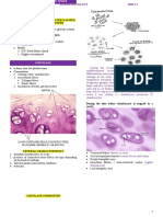 Human Histology 7 Cartilage