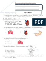 Prueba Ciencias Segundos