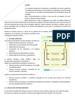 APUNTES TEMA 10 Sistema Nervioso