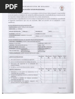 Evaluación Tutor Profesional