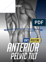 Built With Science Anterior Pelvic Tilt PDF