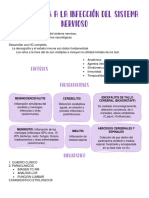 Aproximacion A La Infeccion Del Sistema Nervioso