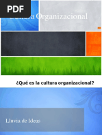 CULTURA ORGANIZACIONAL Unsa