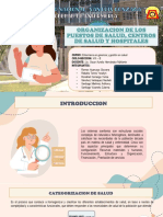 Organizacion de Los Puestos de Salud, Centros de Salud y Hospitales