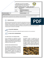 Guia 3. Educación Ambiental - Noveno - Los Seres Vivos y Sus Interacciones.