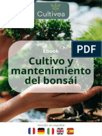 Ebook Bonsai ES