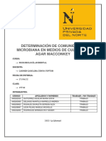 Informe Sobre Conteo de Colonias Bacterianas - Clase 1747 - Grupo 1