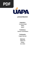 Tarea 1 Neuropsicologia Uapa TERMINADA