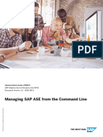 Managing SAP ASE From The Command Line